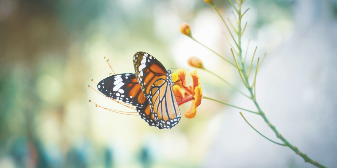 How to Step into Your Entrepreneurial Purpose
