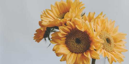How to Live Free of Shame, Guilt, and Condemnation
